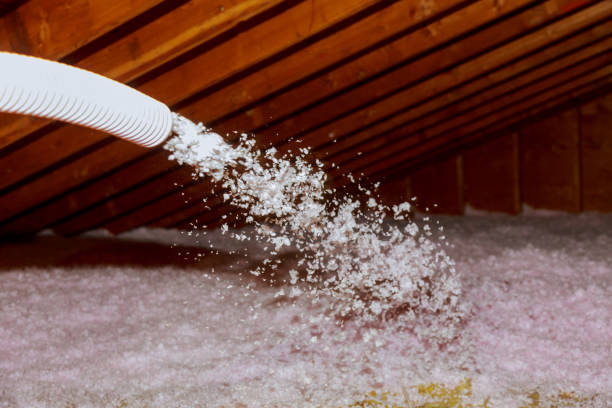 Best Types of Insulation in Angels, CA